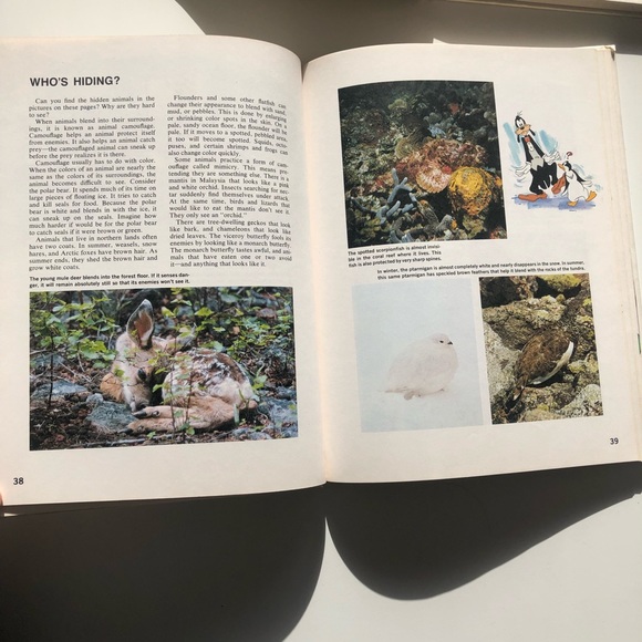 1979 1980 Walt Disney’s Wonderful World of Knowledge Picture Book Yearbook - Picture 6 of 14